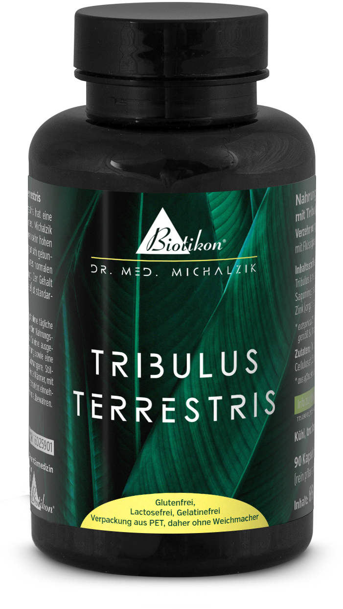 Tribulus terrestris