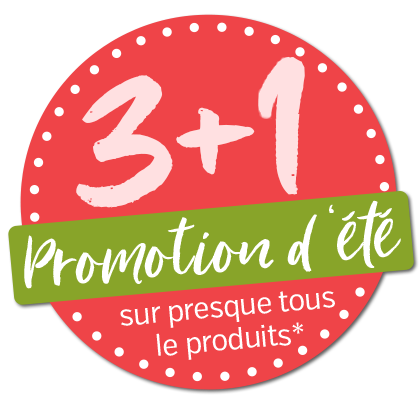 3+1 Sommerkation 2024