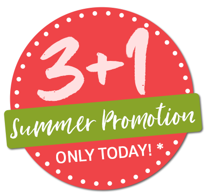 3+1 Sommerkation 2025
