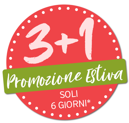 3+1 Sommerkation 2024