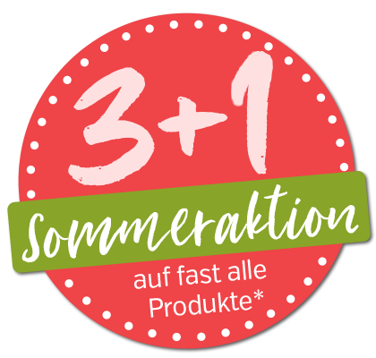 3+1 Sommerkation 2025