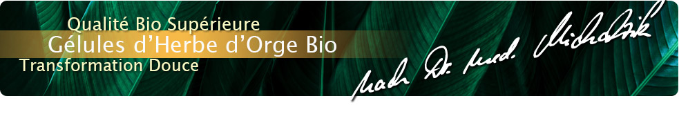 Herbe d'orge bio