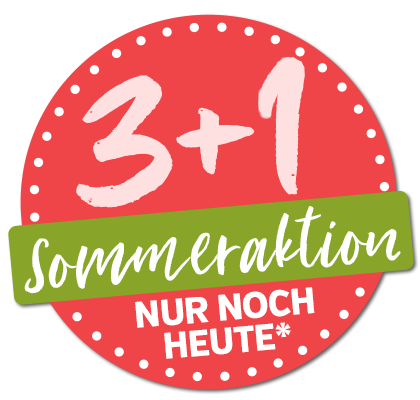 3+1 Sommerkation 2025