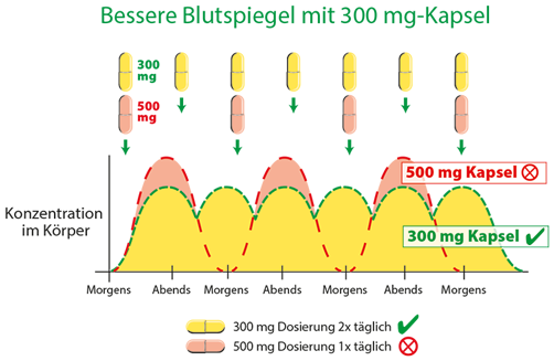 Bioverfügbarkeit von Quercetin