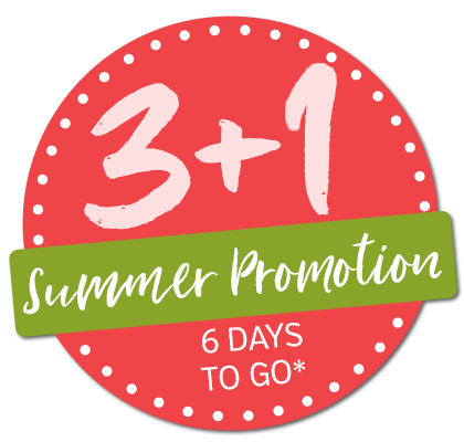 3+1 Sommerkation 2024