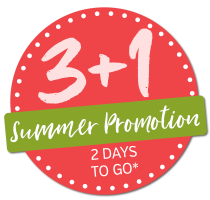 3+1 Sommerkation 2025