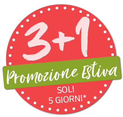 3+1 Sommerkation 2024