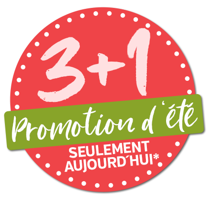 3+1 Sommerkation 2025