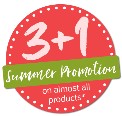 3+1 Sommerkation 2024
